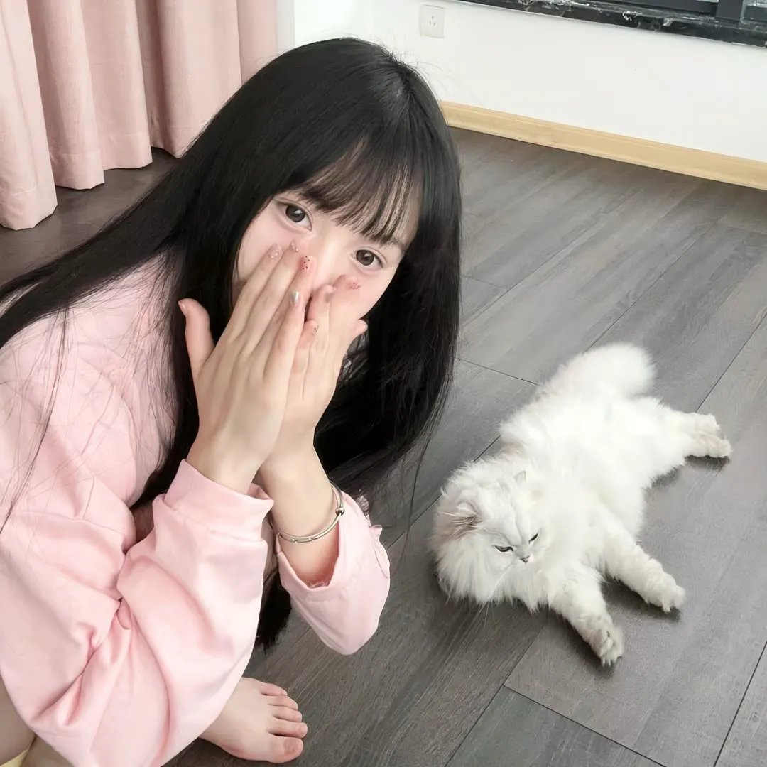 失踪的邦妮